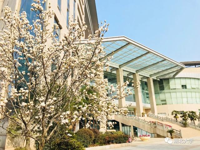 必赢中国官方网站校长谢红星在学生班会上的特别寄语：热爱生活，珍爱生命