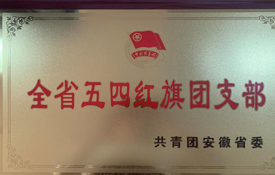 贝博官网电气信息工程学院2018级通信工程团总支荣获“全省五四红旗团（总）支部”称号